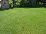 Rasenfläche nach 2 Behandlungen.<br />Behandelt mit Humusboden me.