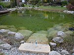 Naturschwimmteich Hotel Rössl nach 10 Monaten - Ph Wert 7,8.<br />Behandelt mit Oberflächenwasser, Stabilisierung und Schlammabbau.