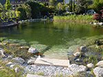 Naturschwimmteich Hotel Rössl<br />unbehandelt - Ph Wert 8,05.