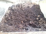 Misthaufen nach 10 Monaten.<br />Behandelt mit Kompost und Mist.