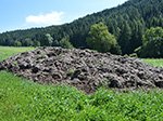 Misthaufen vom Bild zuvor nach 9 Monaten.<br />Behandelt mit Kompost und Mist.