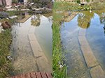 Vergleich Schwimmteich Toscana links Kontrolle, rechts mit Plocher nach 6 Monat.<br />Behandelt mit Oberflächenwasser.
