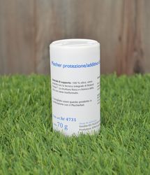 Plocher additivo lavaggio silice 70g it 