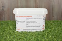 Plocher detergente multiuso sale marino 2kg it 