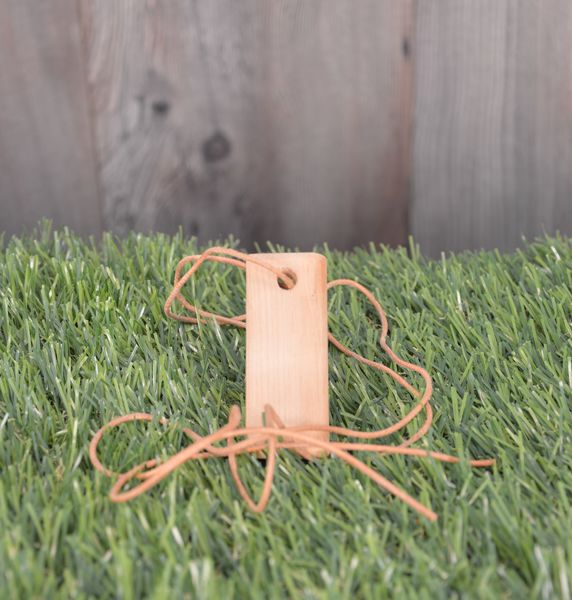 Plocher E-Smog-Anhänger Zirbenholz de 