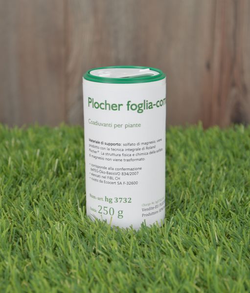 Plocher foglia combi magnesio 250g it 