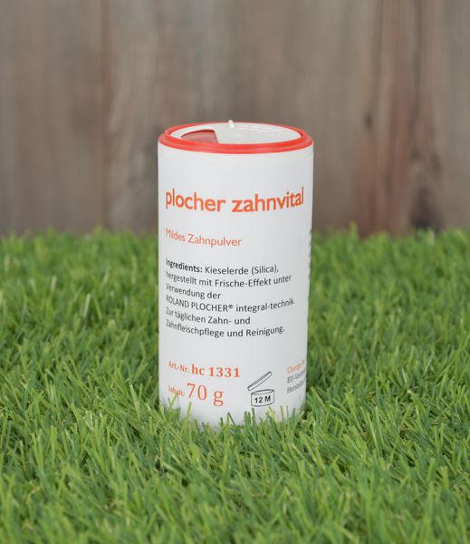 Plocher Zahnvital Kieselerde 70g de