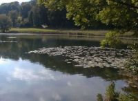 Bellacher Weiher, Schweiz