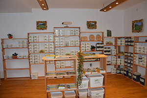 Il nostro negozio all' interno