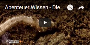 Abenteuer Wissen - Die fruchtbare Erde: Mit Füßen getreten 1/3