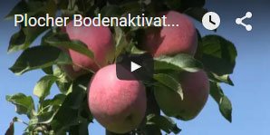 Santer - natürliche Produkte Plocher Video: Bodenaktivator im Biologischen-Obstgut Bonhausen Santer - Bodenaktivator im Bio-Obstgut Bonhausen