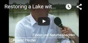Sanierung eines Sees