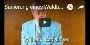 Sanierung eines Waldbades
