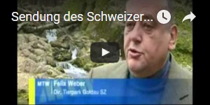 Sendung des Schweizer Fernsehens.